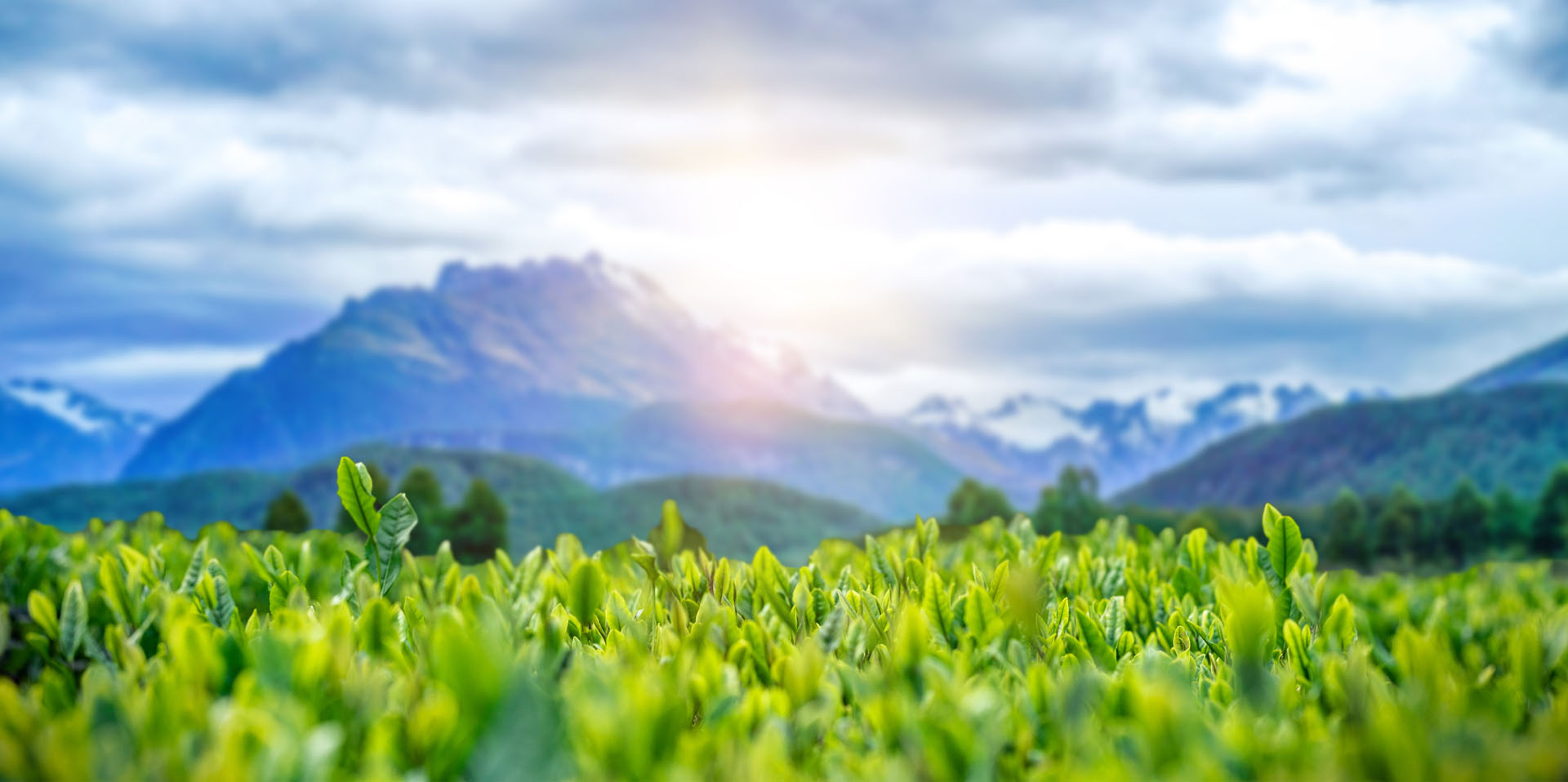 山東天源重工集團(tuán)有限公司